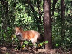 -北京十三陵国家森林公园蟒山景区
