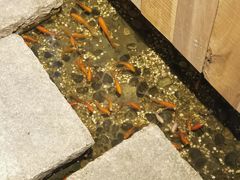 -邈墨茶馆(凤起路店)