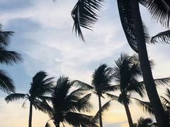 -乔木提恩海滩