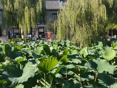 -济南大明湖景区