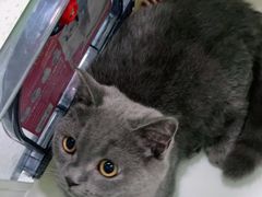 -佳雯宠物医院(金华南路分院)