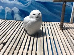 -成都浩海立方海洋公园