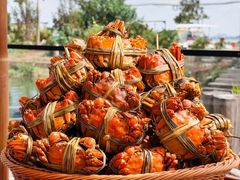 -蟹村草堂·苏式园林人文农家·大闸蟹