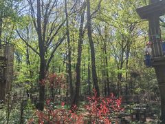 -WeLope紫金山探险公园