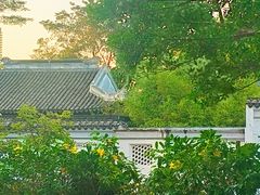-南沙蒲洲花园