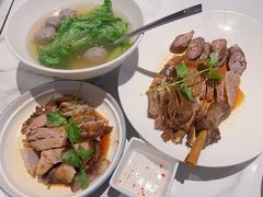 -MR鹅外