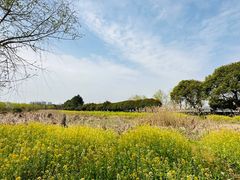 -艾溪湖湿地公园