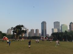 -万绿园