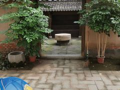 -上海都市菜园