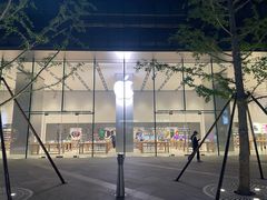 -Apple零售店(华贸购物中心店)