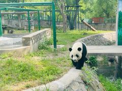 -天津市动物园