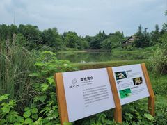 -桤木河湿地公园