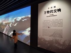 -四川大学博物馆