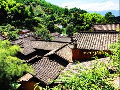 -杨家堂村
