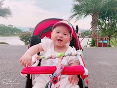 -枫香湖儿童公园