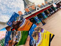 -沈阳方特欢乐世界