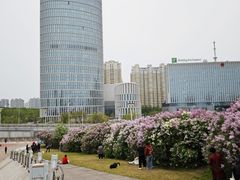 -群力丁香公园