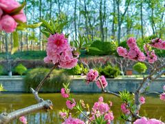 -海棠花溪(元大都城垣遗址公园)