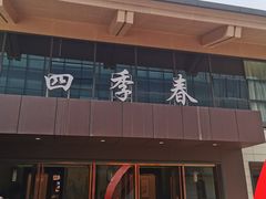 -四季春