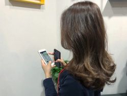 -藤野造型