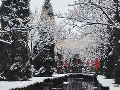 -大槐树寻根祭祖园