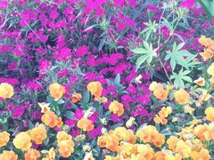 -苏州吴中太湖旅游区