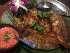 香料烤鱼-花马天堂云南餐厅 Lost Heaven(高邮路店)