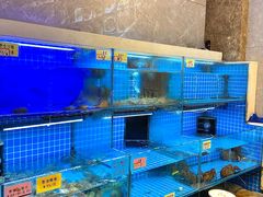 -涌觅名灶·本地海鲜宁波菜(财富广场店)