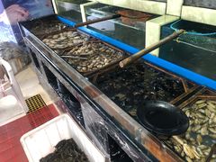 -王潮活海鲜自助·蒸汽海鲜