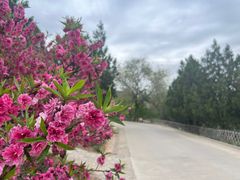 -北京西山国家森林公园