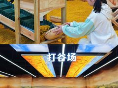 -佛冈森波拉度假区