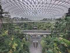 -樟宜机场免税店