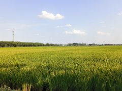 -嘉北郊野公园