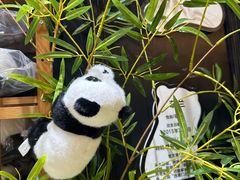 -轩客会(熊猫书店)