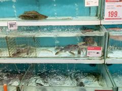 -盒马鲜生(帝斯曼店)