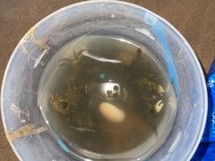 -东戴河风景区-止锚湾