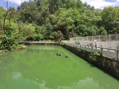 -黔灵山公园
