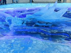 -长春市南湖公园