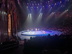 -珠海横琴长隆《卡卡虎奇遇记》