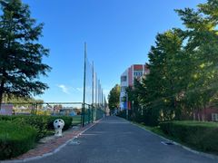 -山东鲁能乒乓球学校