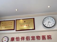 -瑞派康怡24h宠物医院·犬猫医疗中心·微创绝育(瑞景分院)