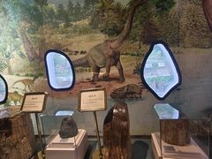 -陕西自然博物馆