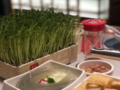 活体豌豆苗-左庭右院鲜牛肉火锅(环球港店)