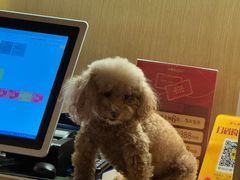 -新富特功夫足疗(华都园大厦店)