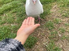 -上海野生动物园