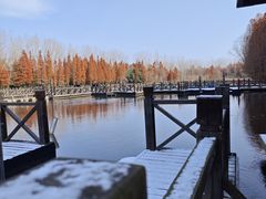 -溱湖国家湿地公园