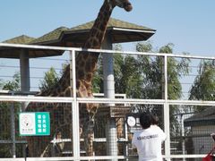 -临沂动植物园