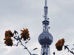 -文华公园(禅城区)