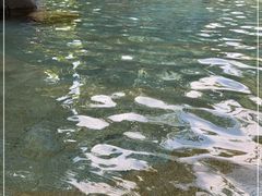 -青城道汤池