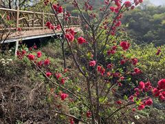 -西安金龙峡风景区